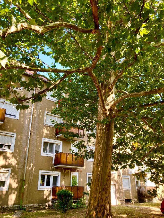 Esther Apartman Tatabánya Esterno foto